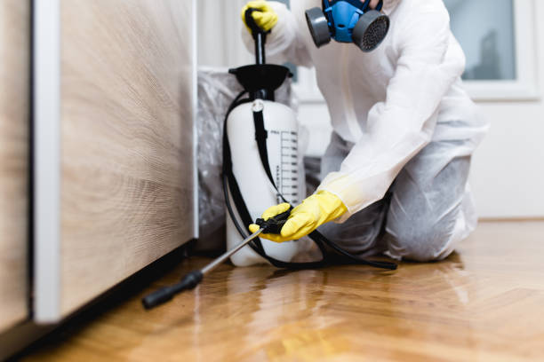 Best Ant Control Services  in Dodge City, KS