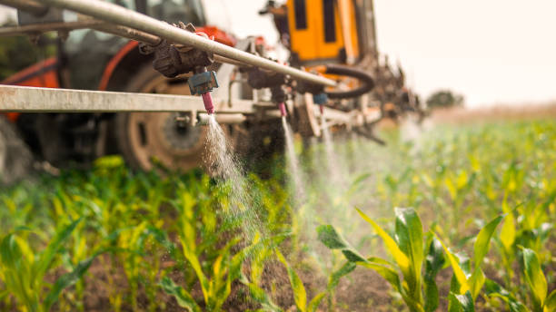 Best Best Pest Control Companies  in Dodge City, KS